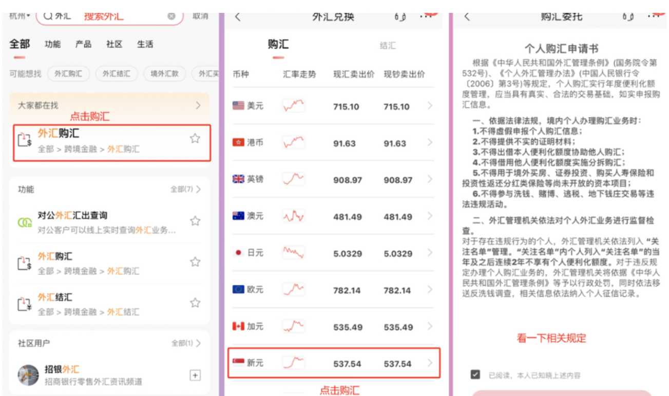 在中国国内银行 APP 上搜索“外汇”，选择“外汇购汇”，然后选择新加坡元，点击“购汇”。币种选新加坡元，选现汇（现钞是指去柜台取现），输入购汇金额。虽然入金最低为 1000 新元，但建议至少购汇 1050 新元，以覆盖中转行费用。用途选择“因私旅游”