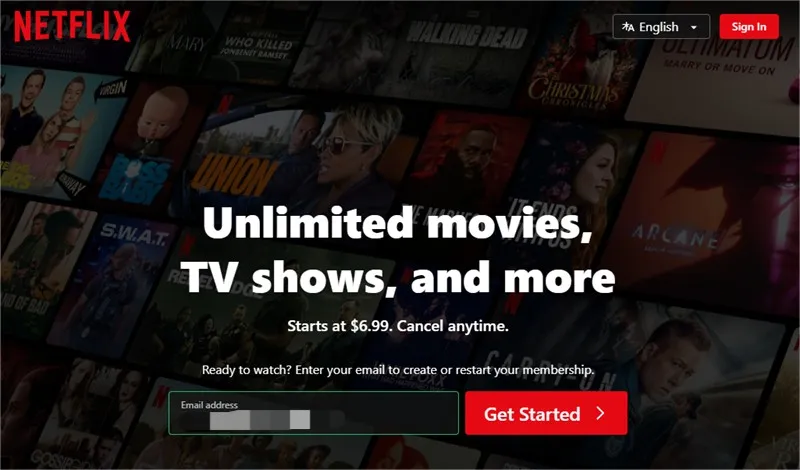 Netflix中文界面观影